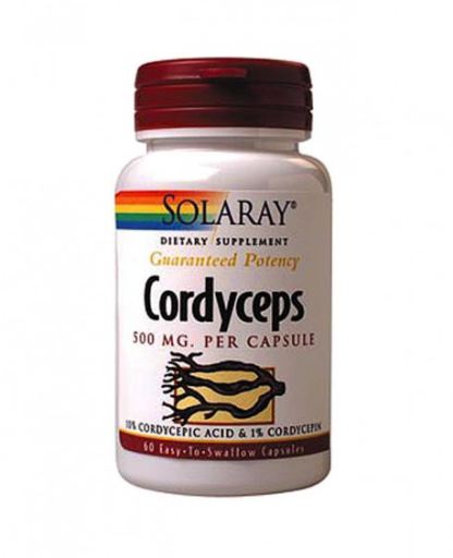 Cordyceps Extract 500 mg 60 Capsules 60