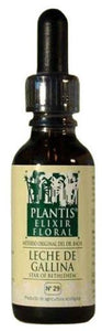 Plantis 29 Star Or Bethlehem 30 ml
